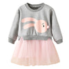 New spring infant skirt 1 long sleeved dress 2 female baby cartoon 3 4 princess dress lace dress tide