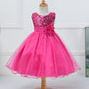 Baby Sequin Dress Flower Girl Wedding Princess Dress